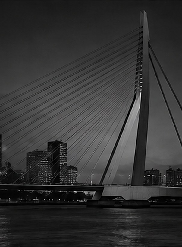 Erasmusbrug Rotterdam
